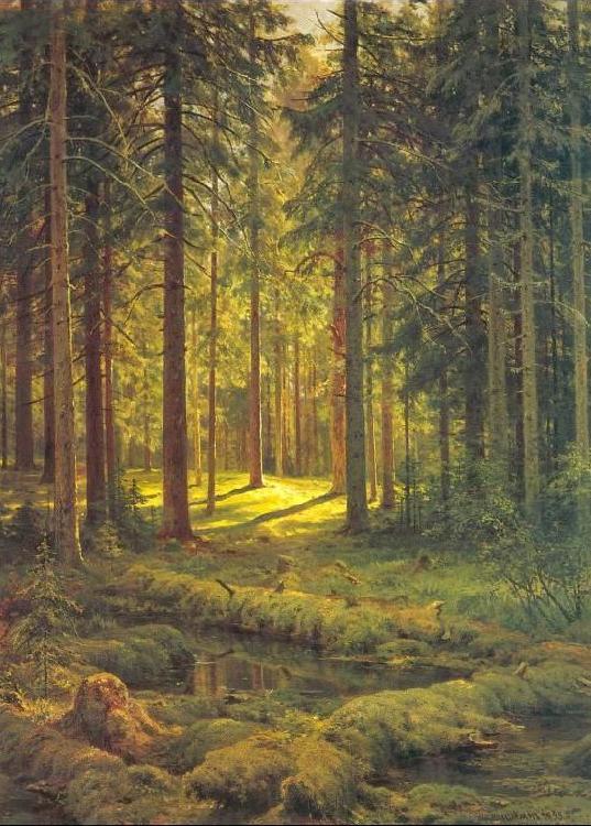 Ivan Shishkin Coniferous Forest, Sunny Day China oil painting art